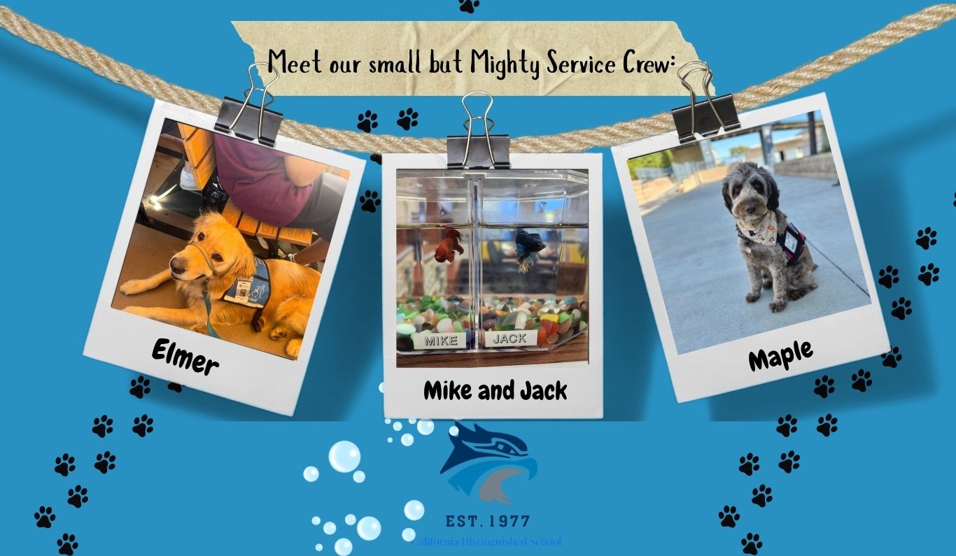 Elmer, Mike and Jack, Maple 